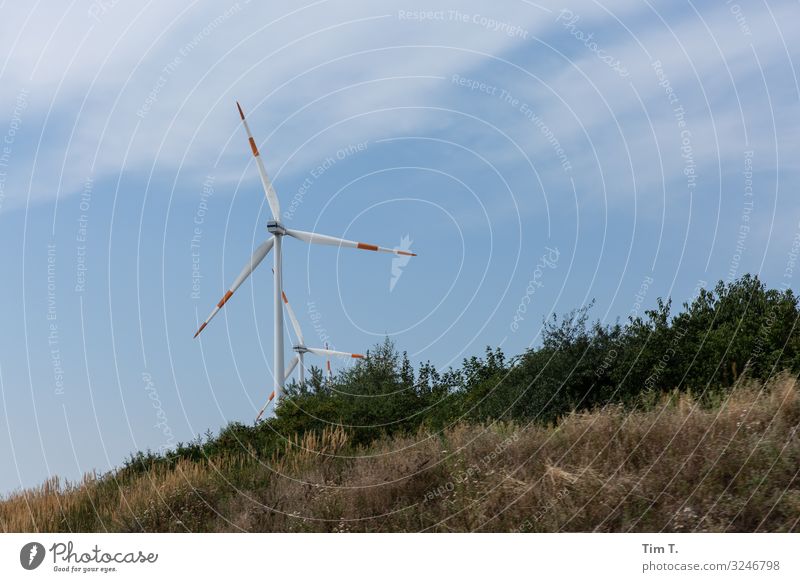 Wind Technik & Technologie Energiewirtschaft Erneuerbare Energie Windkraftanlage Energiekrise planen Farbfoto Außenaufnahme Menschenleer Tag Blick nach oben
