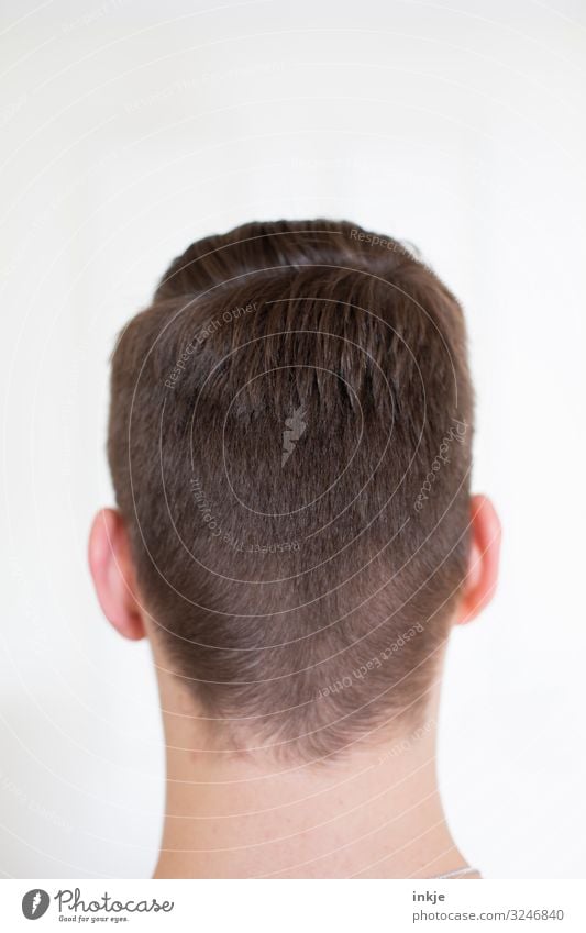 Hinterkopf Stil maskulin Junger Mann Jugendliche Kopf Haare & Frisuren 1 Mensch 13-18 Jahre 18-30 Jahre Erwachsene kurzhaarig authentisch modern