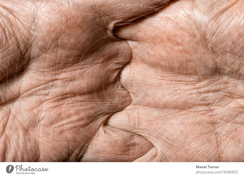 Detail Männerhände schön Körper Haut Mensch Mann Erwachsene Hand Finger alt dunkel natürlich stark Kraft Farbe Aktion Hintergrund Pflege Kaukasier Entwurf