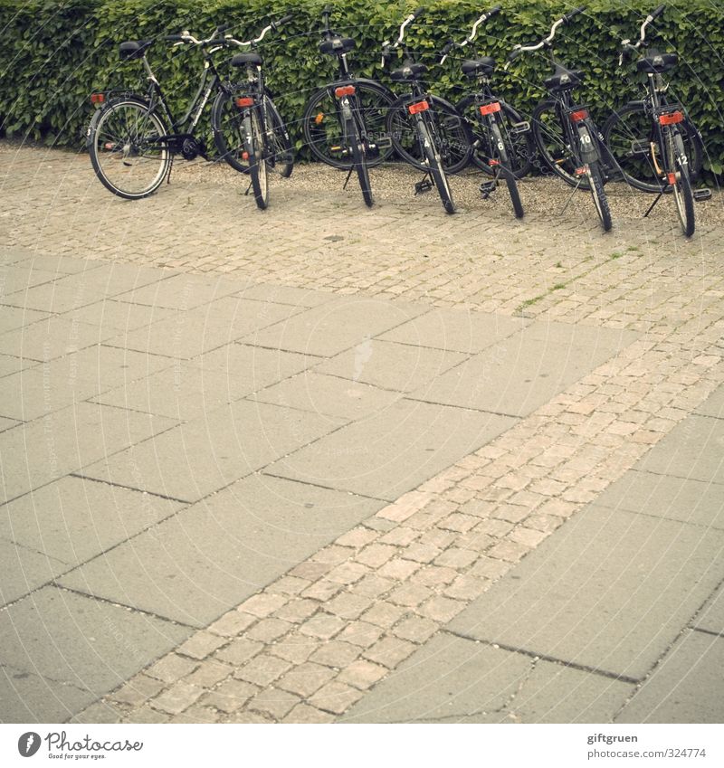 /\\\\\\ Verkehrsmittel Personenverkehr Fahrradfahren Straße Parkplatz Hecke Straßenbelag Reihe Ordnung nebeneinander Strukturen & Formen vermieten