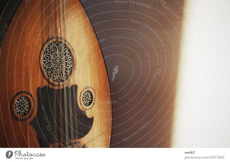 Taqsim Musik Laute Arabische Laute Oud Naher und Mittlerer Osten Wand Holz Metall Kunststoff exotisch glänzend Gelassenheit geduldig ruhig Idylle anlehnen Klang