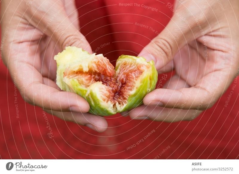 Feigenherz in Händen Frucht Diät Frau Erwachsene Hand Natur Herz frisch saftig grün rot reif Lebensmittel Gesundheit süß organisch mediterran Sehne Halt