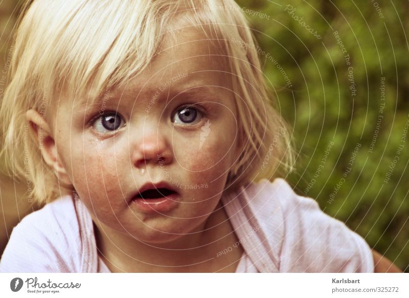 aus Tränen erwachen Kindergarten Kleinkind Mädchen Kindheit Kopf 1 Mensch 1-3 Jahre Natur Frühling Sommer Garten blond beobachten Bewegung krabbeln Blick
