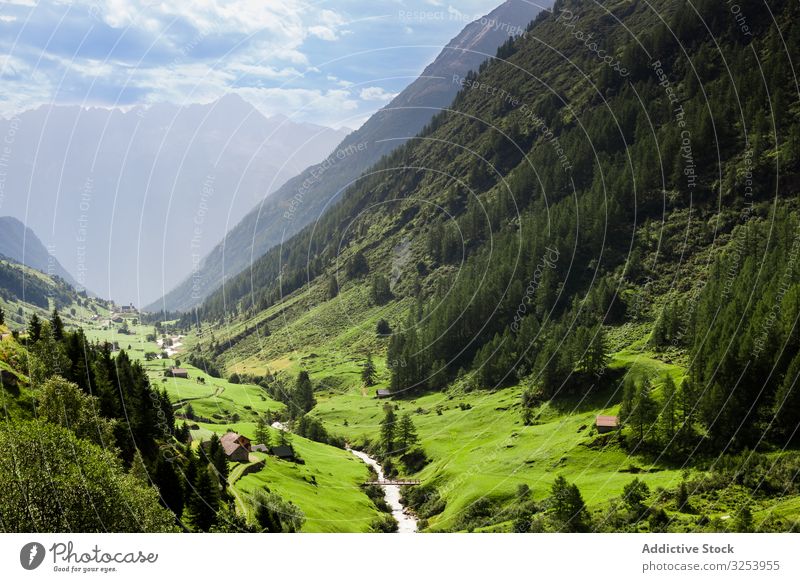 Malerische idyllische Berglandschaft in der Schweiz malerisch Berge u. Gebirge Wiese Gipfel Landschaft Alpen grün Natur Tourismus ländlich Sommer Gras