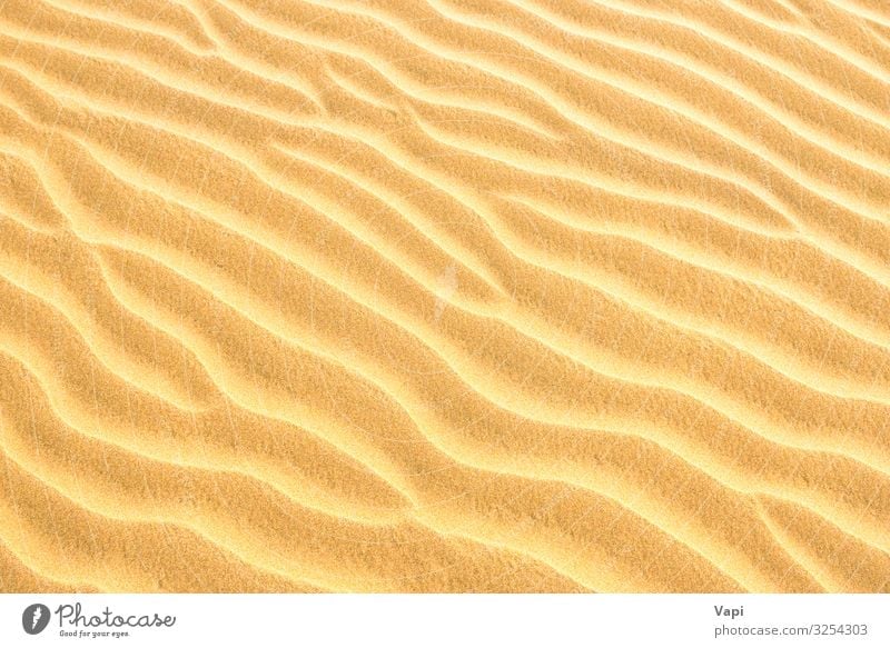 Textur der Sanddünen Design schön Safari Sommer Sommerurlaub Sonne Sonnenbad Strand Meer Insel Wellen Tapete Natur Sonnenlicht Wind Küste Wüste heiß natürlich