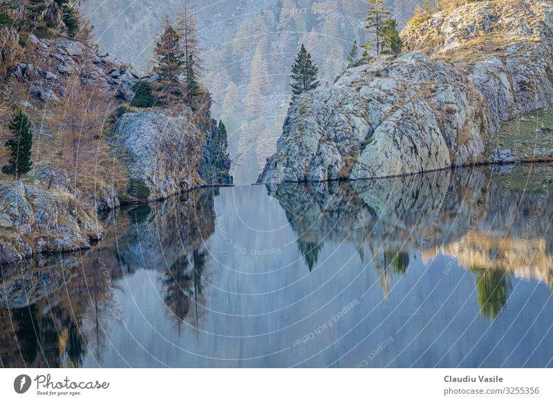 Wassertropfen am Trecolpas Lake Natur Landschaft Sonnenlicht Herbst Baum Blatt Alpen Berge u. Gebirge Seeufer wandern Oktober Felsen Französisch Ausflug