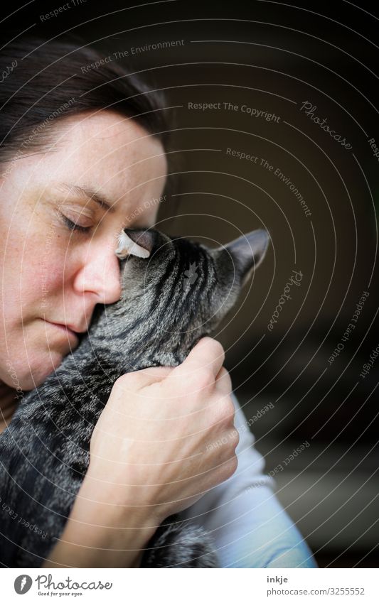 Frau schmust mit Katze Lifestyle Erwachsene Leben Gesicht Hand 1 Mensch 30-45 Jahre Tier Katzenbaby Tierjunges festhalten authentisch nah Gefühle Vertrauen