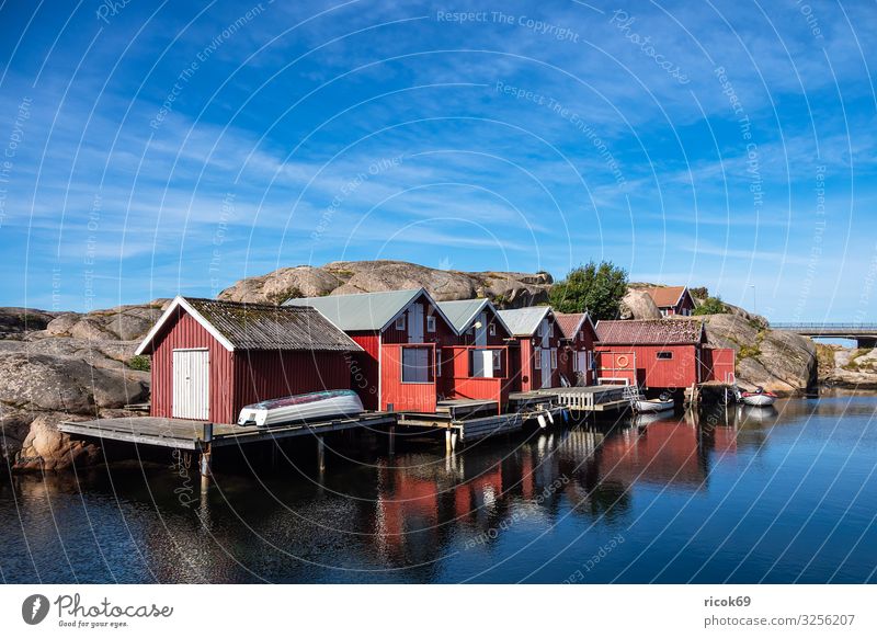 Blick auf den Ort Smögen in Schweden Erholung Ferien & Urlaub & Reisen Tourismus Sommer Meer Haus Natur Landschaft Wasser Wolken Felsen Küste Nordsee Dorf Hafen