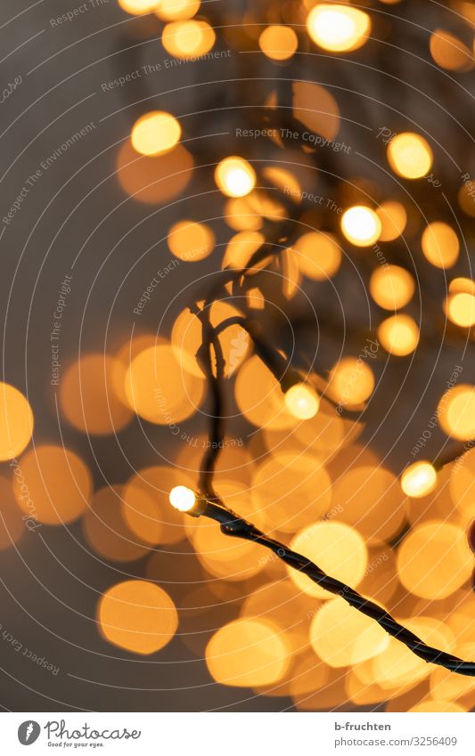 Goldene Stunde Feste & Feiern Weihnachten & Advent Silvester u. Neujahr Zeichen glänzend leuchten Glück gold orange Lichterkette Unschärfe Kette Lampe
