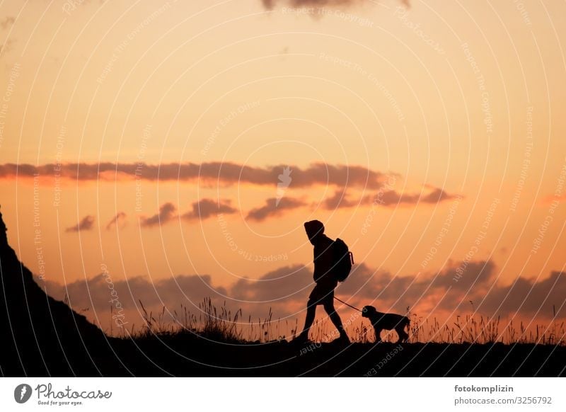 Wanderer mit Hund bei Sonnenuntergang Tierliebe Mensch und Hund Freundschaft Hundeliebe Mensch und Tier Tier und Mensch Hundeerziehung mensch und Hund zwei