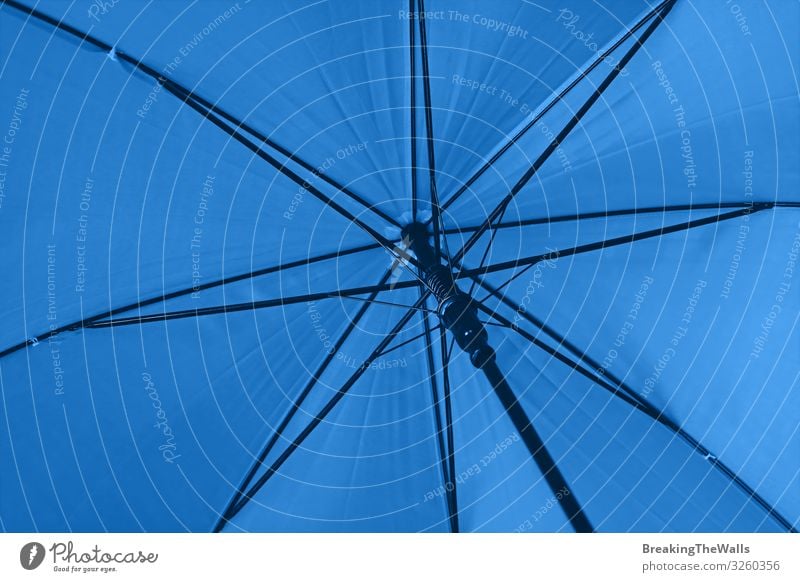 Nahaufnahme blauer Regenschirm Niederwinkelansicht Sonne Klima Klimawandel Wetter schlechtes Wetter Accessoire unten Schutz Farbe Perspektive blaugrün