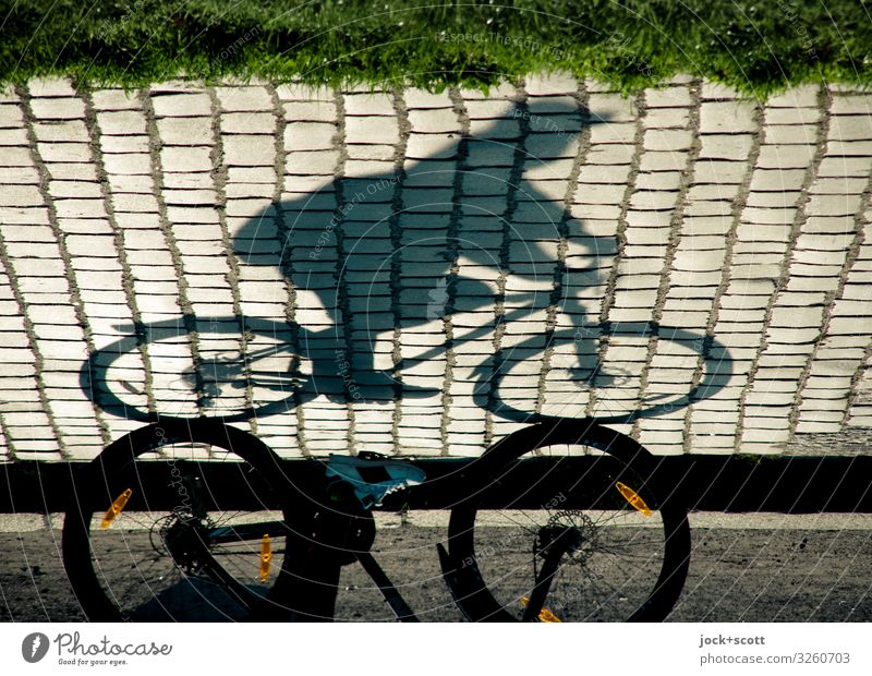 Sonntagsfahrer als Schatten auf Straße mit Kopfsteinpflaster Fahrradfahren Mensch Sommer Wärme Gras Park Wege & Pfade Stimmung Gelassenheit erleben Identität