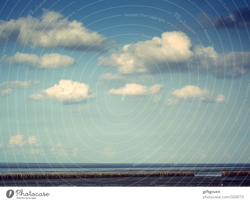 heiter bis wolkig Umwelt Natur Landschaft Urelemente Sand Wasser Himmel Wolken Schönes Wetter Küste Strand Ostsee Meer blau Buhne Uferbefestigung Ferne Horizont