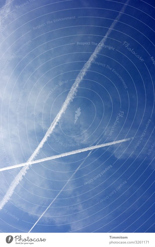 Himmel, Wolken und Kondensstreifen Wetter blau Blauer Himmel Schönes Wetter Außenaufnahme Farbfoto Menschenleer Luft Linien und Formen Luftverkehr Ferne fliegen