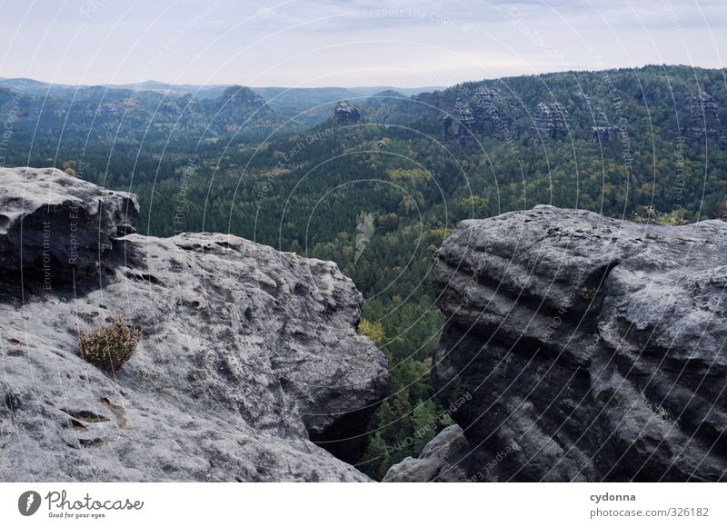 Sächsische Schweiz Ferien & Urlaub & Reisen Tourismus Ausflug Abenteuer Ferne Freiheit Berge u. Gebirge wandern Umwelt Natur Landschaft Sommer Wald Felsen