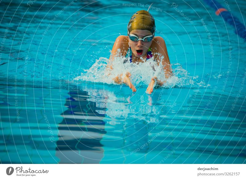 500 / gleich bin ich am Ziel. Das Mädchen schwimmt mit Schwimmbrille, mit vollen Zügen durch das Wasser. Freude Schwimmsport Sommer Wassersport