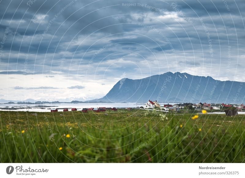 Lofoten ruhig Ferien & Urlaub & Reisen Tourismus Ferne Meer Landschaft Urelemente Himmel Wolken Klima Gras Wiese Berge u. Gebirge Dorf Fischerdorf Haus