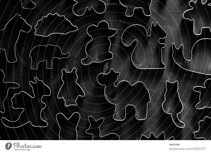 tierische Ausstechformen für Kekse auf Holzuntergrund Plätzchen ausstechen Weihnachten & Advent Tier Katze Pferd Maus Igel Eulenvögel Eichhörnchen Drache Kamel