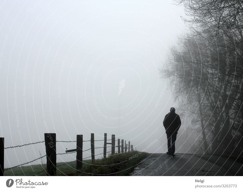 Rückansicht einer männlichen Person auf einer Landstraße im Nebel Mensch maskulin Mann Erwachsene Männlicher Senior 1 60 und älter Umwelt Natur Landschaft