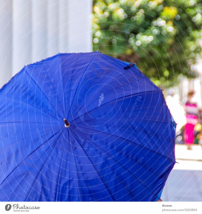 bei Sonnenschein Schönes Wetter Sonnenschirm Schirm ästhetisch kalt positiv rund trocken Wärme blau Warmherzigkeit Hilfsbereitschaft Klima Schutz nützlich