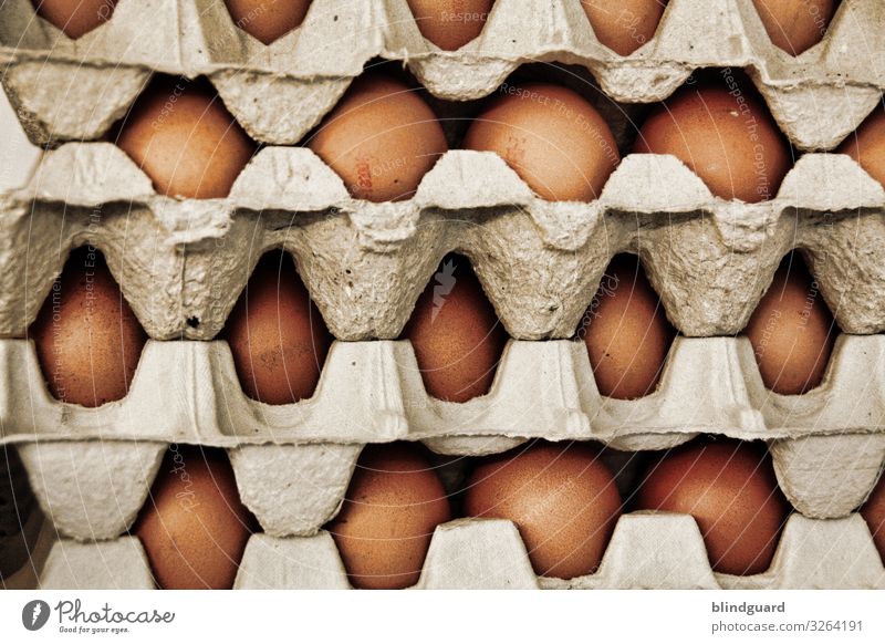 Ei Ei Ei ... Rührei in spe Eier braun gestapelt Stapel Pappe Legebatterie Eierhandel Hühnerei aufgeschichtet Palette Verkauf Transport Ernährung Lebensmittel