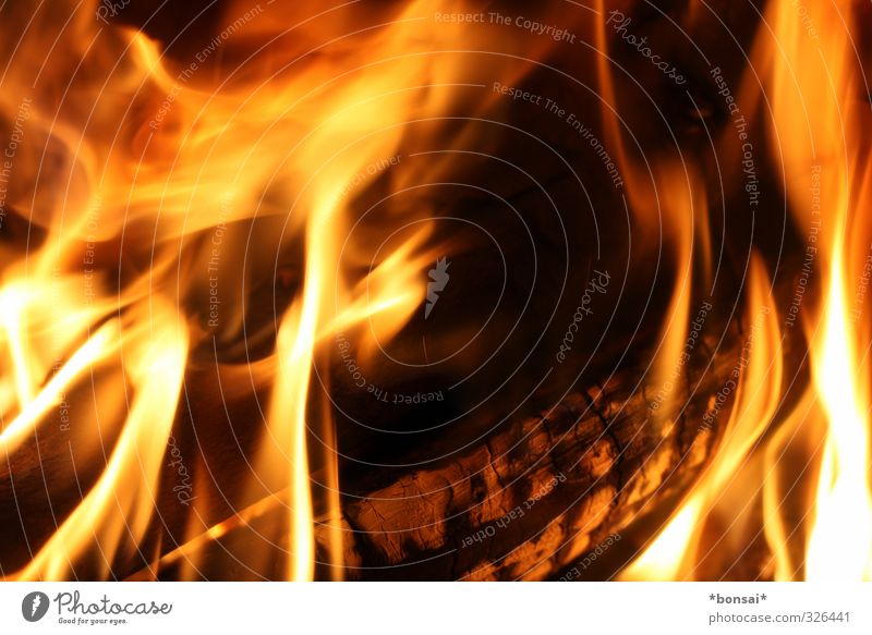 hot! Feuer Flamme Holz glänzend leuchten Aggression bedrohlich heiß kuschlig natürlich Wärme Kraft Warmherzigkeit Energie Natur gemütlich Rascheln Brennholz