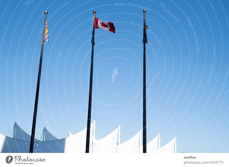 blau-weiß 1 Stadt Fassade Fahne Patriotismus Kanada Ahornblatt ahornsirup Vancouver Architektur kanadische flagge Wolkenloser Himmel Schönes Wetter Sonnenlicht