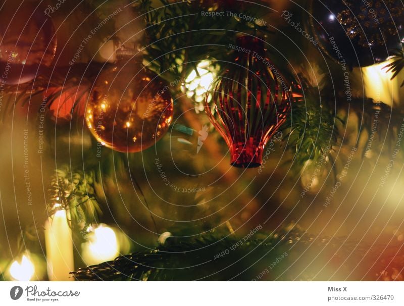 Glaskugeln Weihnachten & Advent glänzend Weihnachtsbaum Weihnachtsdekoration Weihnachtsbeleuchtung Kerze Kerzenschein Kerzenflamme Baumschmuck Tannenzweig