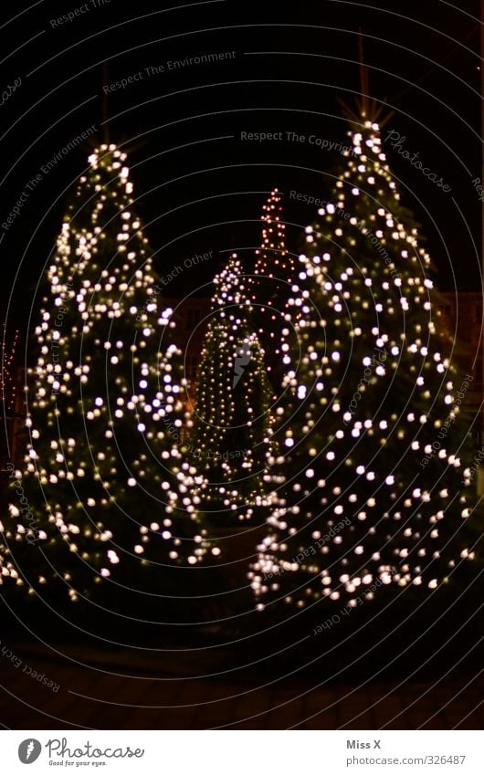 Weihnachtsunschärfe Weihnachten & Advent Winter Baum leuchten Weihnachtsbaum Weihnachtsdekoration Lichtermeer Lichterkette Tanne Farbfoto mehrfarbig