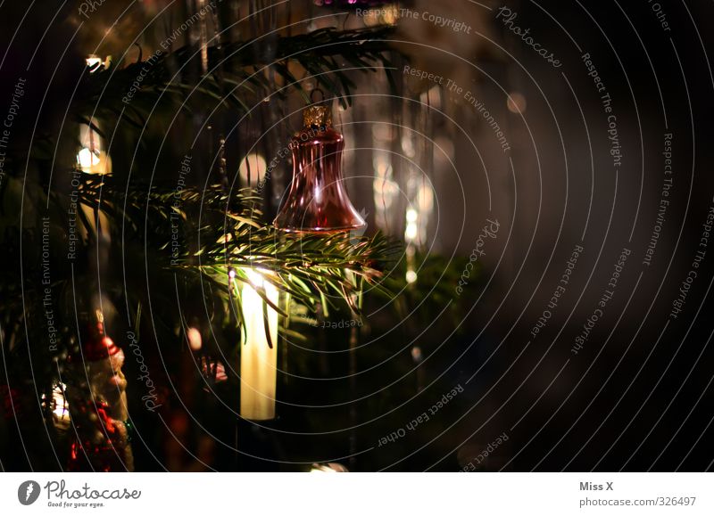 Weihnachtsdeko Weihnachten & Advent leuchten dunkel Weihnachtsbeleuchtung Weihnachtsbaum Weihnachtsdekoration Lametta Kerze Kerzenschein Kerzenstimmung