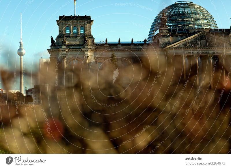 Fernsehturm und Bundestag Architektur Berlin Deutscher Bundestag Deutschland Hauptstadt Bundeskanzler Amt Parlament Regierung Regierungssitz Regierungspalast