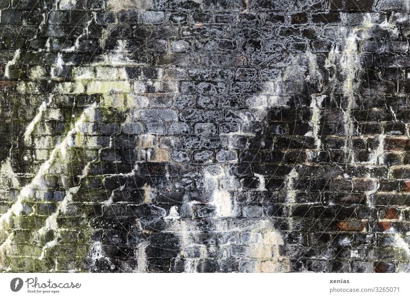 alte steinige Mauer mit Flechten Moos Menschenleer Tunnel Gebäude Wand Stein schleimig grau grün weiß Steinmauer gemauert Ruine verfallen Xenias Farbfoto
