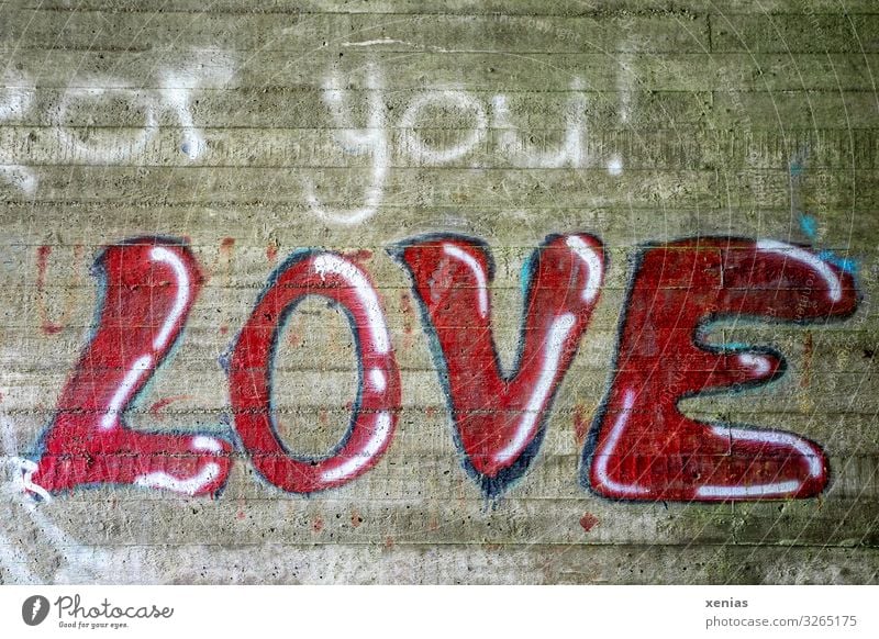 Love for you Mauer Wand Stein Schriftzeichen Graffiti schreiben blau rot weiß Liebe Verbote Zement Farbfoto Außenaufnahme Menschenleer Textfreiraum unten