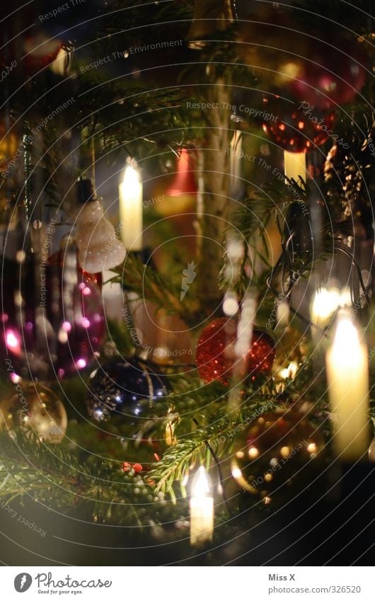 Weihnachtsdeko Weihnachten & Advent glänzend mehrfarbig Weihnachtsbaum Weihnachtsfigur Weihnachtsbeleuchtung Schneemann Kerze Kerzenschein Kerzenstimmung