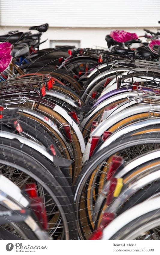 Streetlife 6 Fahrrad Fahrradständer Verkehrsmittel Fahrradfahren Parkplatz Außenaufnahme Innenstadt