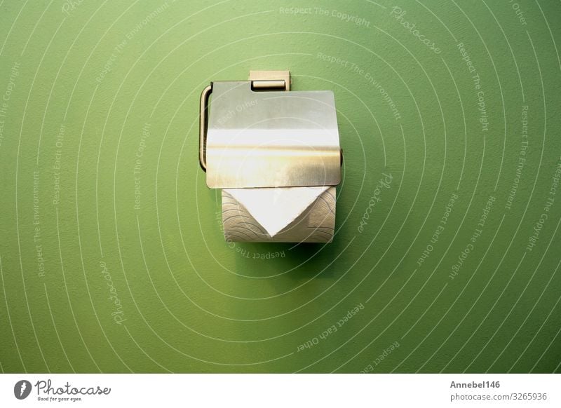 Nahaufnahme des WC-Papierhalters im Bad nahe der grünen Wand Design Accessoire Metall glänzend modern neu Sauberkeit weich weiß Toilette rollen Klammer sanitär