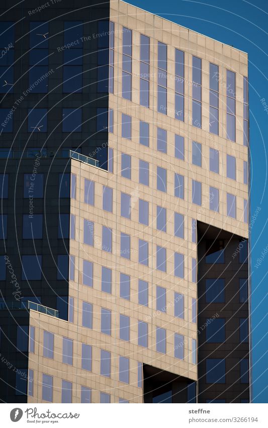 Fassade I Stadt Haus Hochhaus Licht & Schatten Wolkenloser Himmel Abendsonne Moderne Architektur Vancouver Geometrie 2-dimensional Silhouette Farbfoto