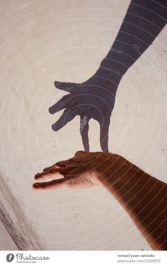 Mann Hand gestikulierend an der Wand Schatten Silhouette Lichterscheinung Sonnenlicht Finger Handfläche Körper Handgelenk Arme Haut Mensch Entwurf