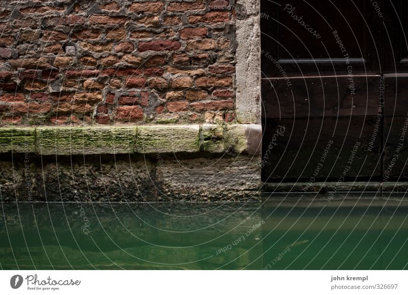 Acqua alta Wasser Venedig Hafenstadt Haus Bauwerk Gebäude Architektur Mauer Wand Fassade Tür Schwimmen & Baden historisch nass grün Sicherheit Schutz Müdigkeit
