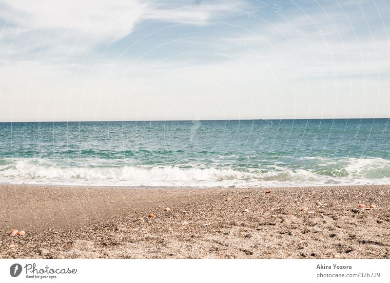 Meet the Ocean Natur Sand Wasser Himmel Wolken Horizont Sommer Schönes Wetter Wellen Küste Strand Meer Schwimmen & Baden berühren Erholung genießen nass blau