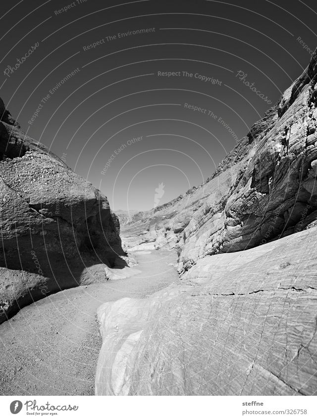 gewunden Felsen Death Valley National Park USA Nevada außergewöhnlich Schlangenlinie Schwarzweißfoto Außenaufnahme Strukturen & Formen Menschenleer