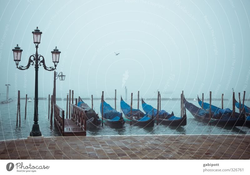 Venedig | Thementag Nebel Regen Italien Stadt Hafenstadt Stadtzentrum Altstadt Marktplatz Sehenswürdigkeit Verkehrsmittel Gondel (Boot) blau Sehnsucht Fernweh