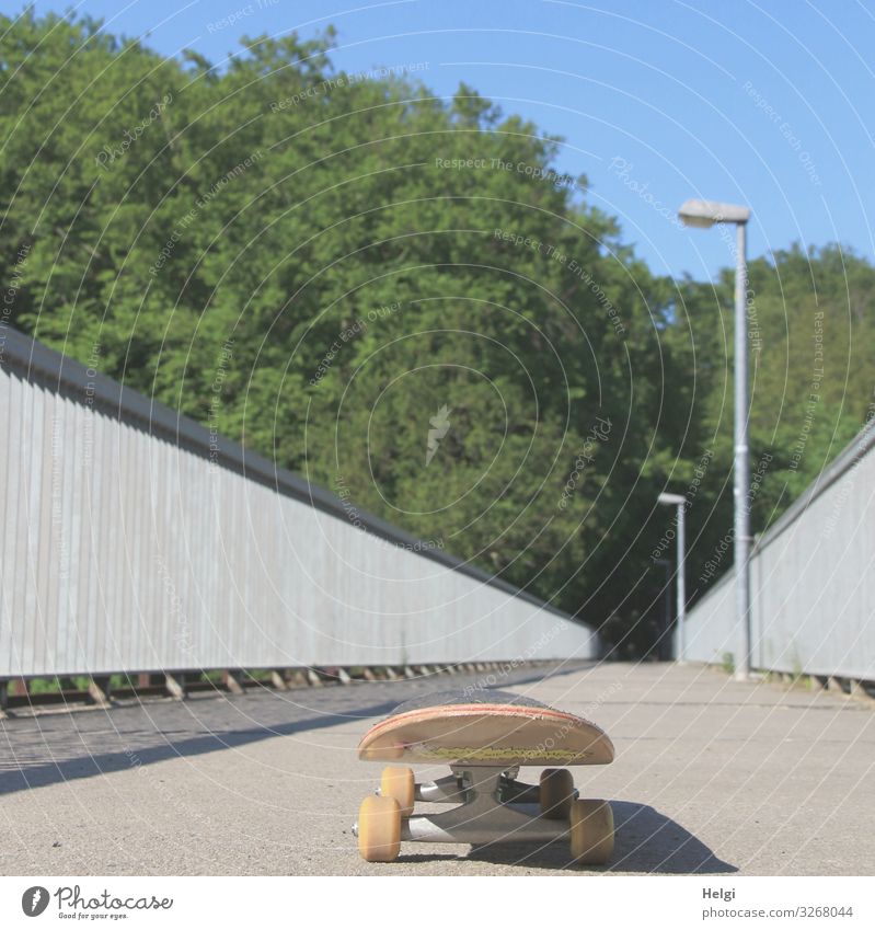 Skateboard steht auf einer menschenleeren Brücke Umwelt Natur Baum Brückengeländer Lampe Wege & Pfade stehen außergewöhnlich blau braun grau grün Beginn