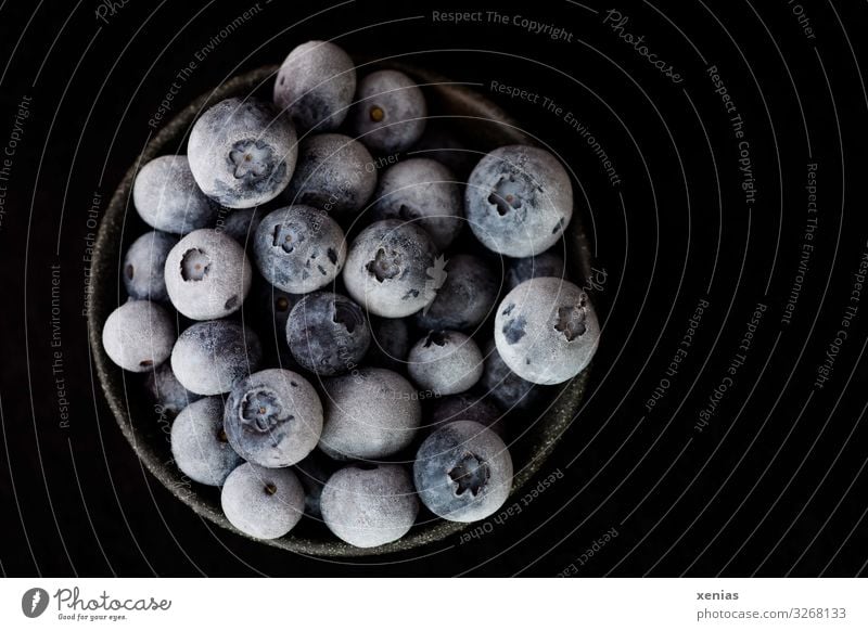 gefrorene Heidelbeeren in schwarzer Schale vor schwarzem Hintergrund Blaubeeren Bioprodukte Vegetarische Ernährung Diät Vegane Ernährung Schalen & Schüsseln