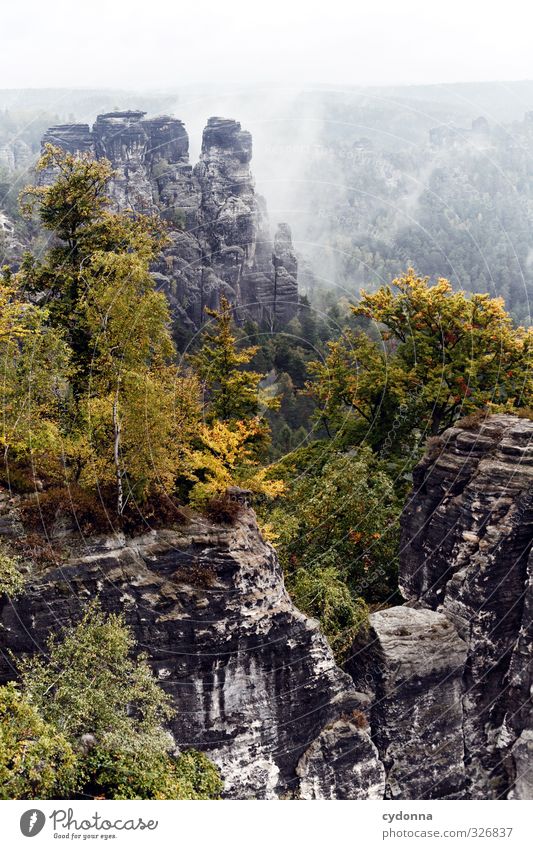 Im Nebel Ferien & Urlaub & Reisen Tourismus Ausflug Abenteuer Ferne Freiheit Berge u. Gebirge wandern Umwelt Natur Landschaft Herbst Baum Wald Felsen Schlucht