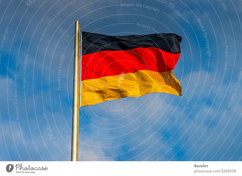 Die deutsche Flagge weht schwarz, rot, gold am Fahnenmast Freiheit Kultur Himmel Wind blau gelb Farbe Politik & Staat Zusammenhalt Land wehen Deutschland