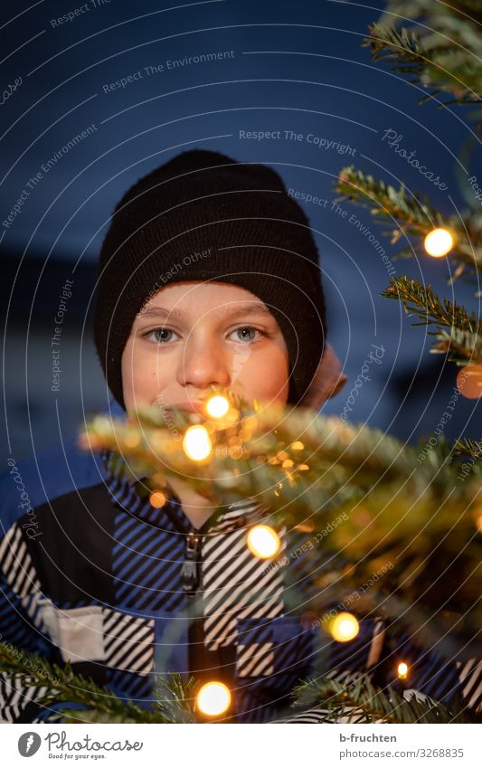 Kind hinter Weihnachtsbaum mit Lichterketten Lifestyle kaufen elegant Stil Freizeit & Hobby Feste & Feiern Weihnachten & Advent Gesicht 1 Mensch 8-13 Jahre