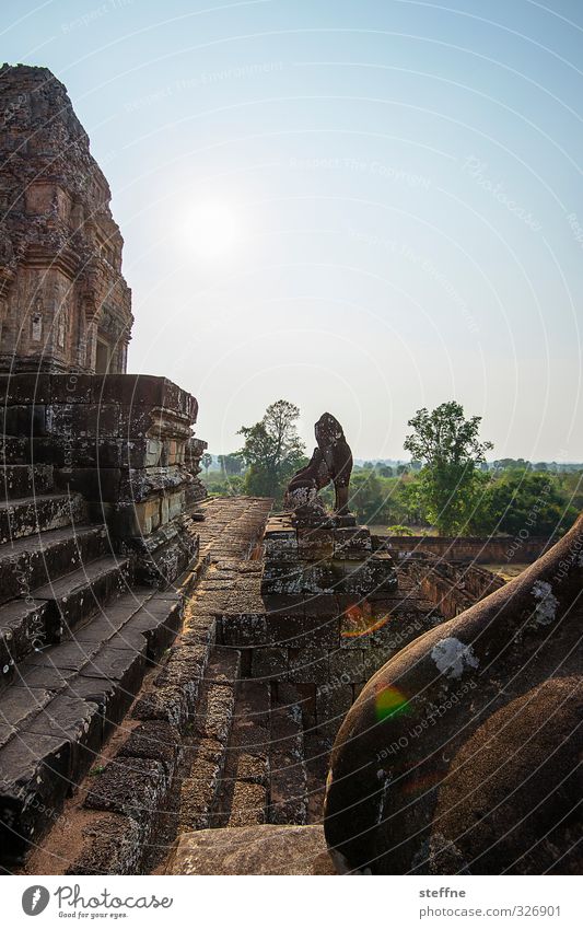 Pre Rup Sunset Siem Reap Angkor Wat Kambodscha Ruine Treppe Fassade ästhetisch authentisch außergewöhnlich Bekanntheit historisch erhaben Khmer löwenskulptur