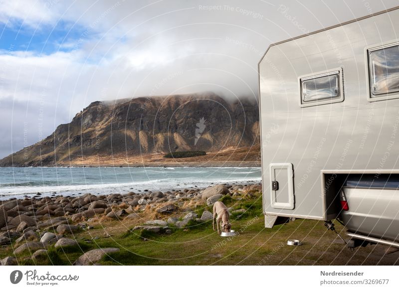 Camping auf den Lofoten Abenteuer Freiheit Meer Natur Landschaft Urelemente Wasser Wolken Schönes Wetter Wiese Felsen Berge u. Gebirge Küste Fjord Fahrzeug
