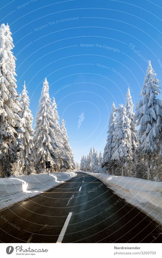 Straße durch den verschneiten Thüringer Wald Ferien & Urlaub & Reisen Tourismus Ausflug Winter Schnee Winterurlaub Natur Landschaft Wolkenloser Himmel